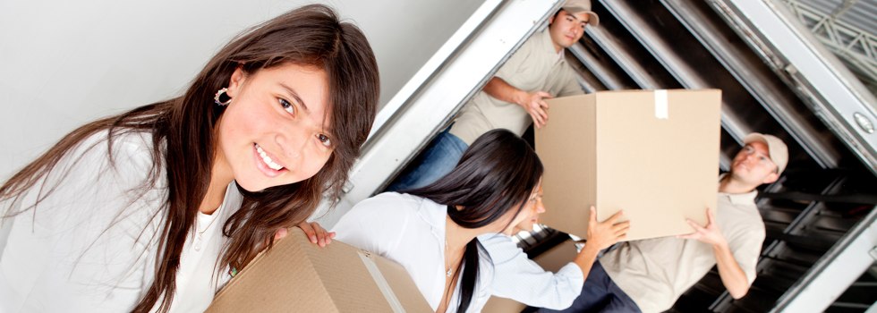 Professional Removalists Clayton